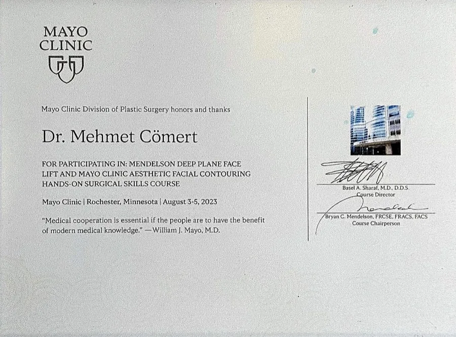 Mayo Clinic, Mendelson Deep Plane Face Lift & Aesthetic Facial Contouring